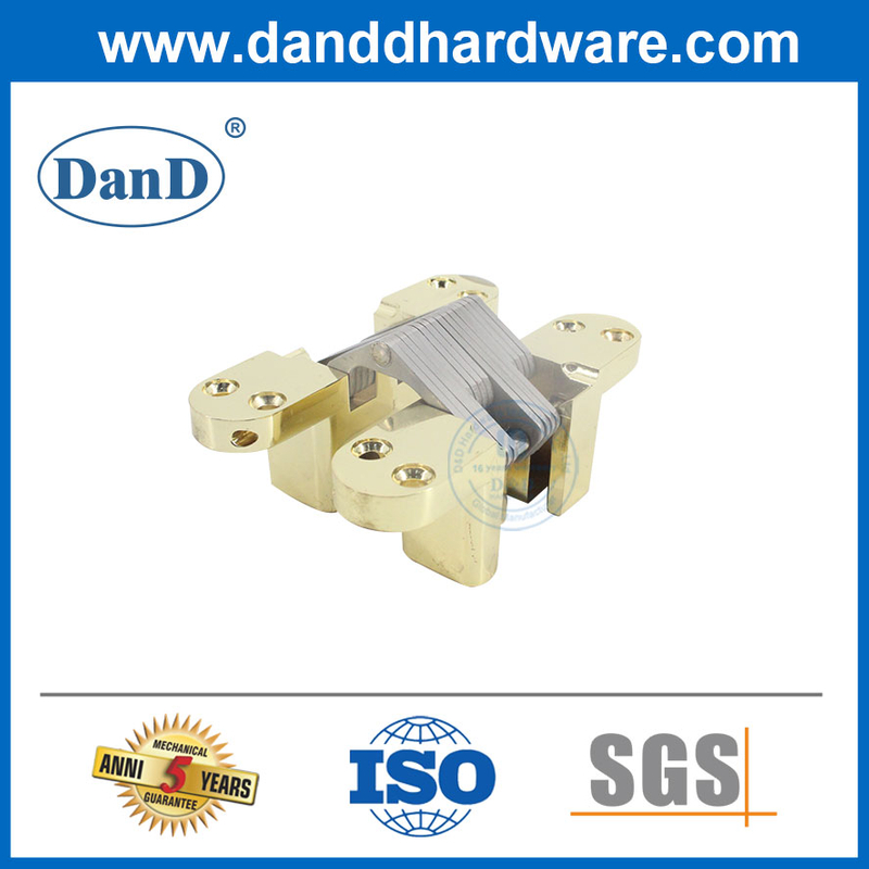Bản lề cửa vô hình ẩn bằng thép không gỉ 180 độ được đánh bóng bằng vàng-DDCH007