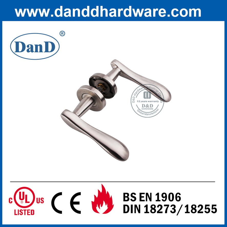Thiết kế thời trang SS304 Tay nắm đòn bẩy cửa đúc rắn-DDSH015