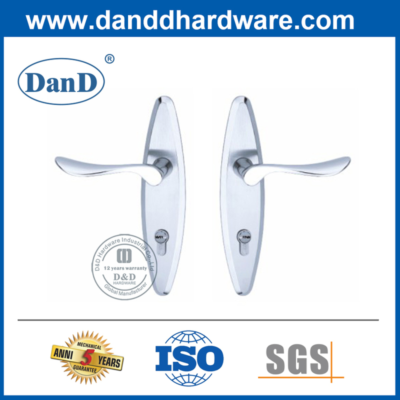 Tay nắm đòn bẩy SUS316 có tấm cho cửa kim loại-DDLP002