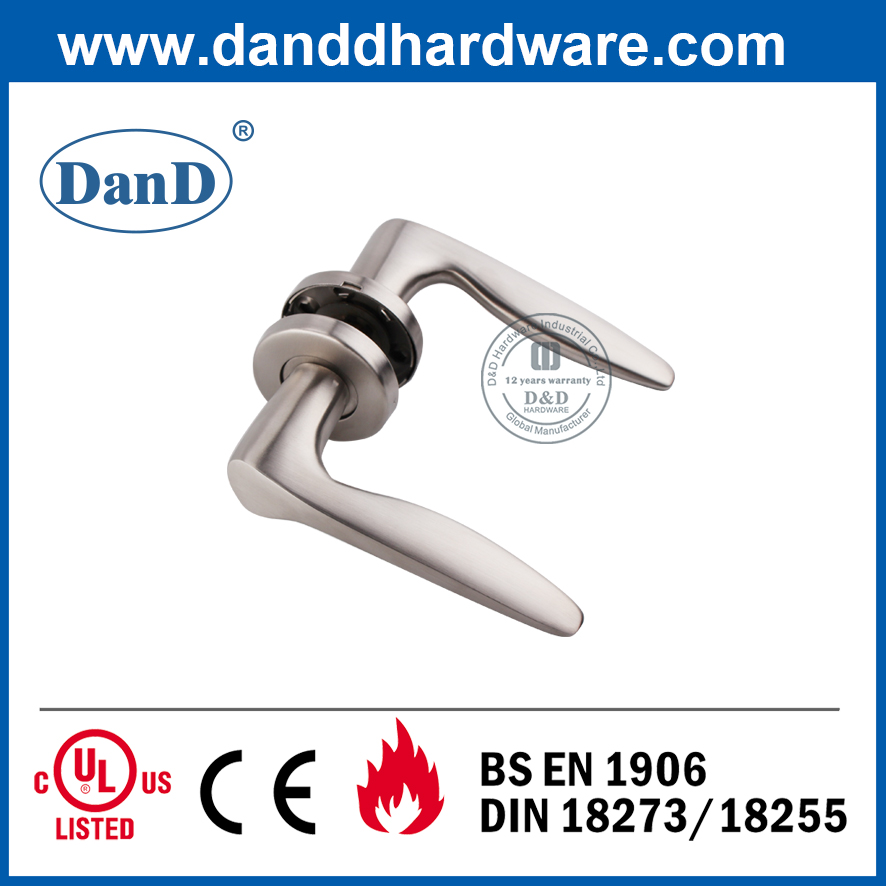 Cửa đi bên ngoài bằng thép không gỉ 304 hiện đại Lever-DDSH008