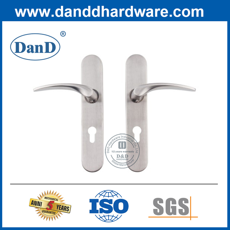 Tay cầm đòn bẩy hiện đại bằng thép không gỉ có tấm-DDTP006