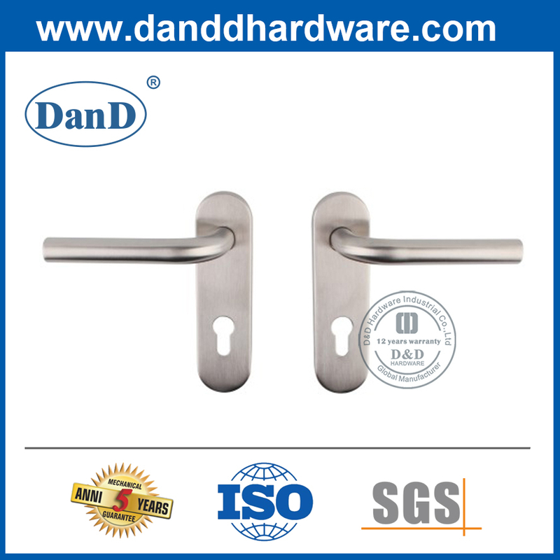 Tay nắm cửa trang trí bằng thép không gỉ có tấm ốp xi lanh-DDTP008