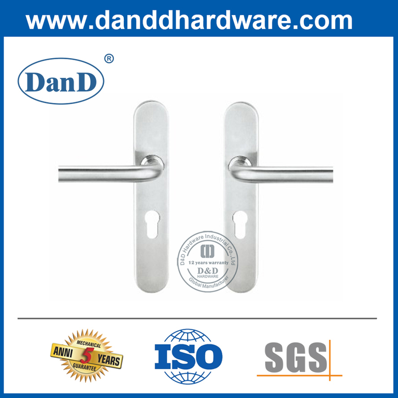 Tay cầm cần gạt bằng thép không gỉ có lỗ xi ​​lanh-DDTP003